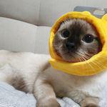 berry__1015